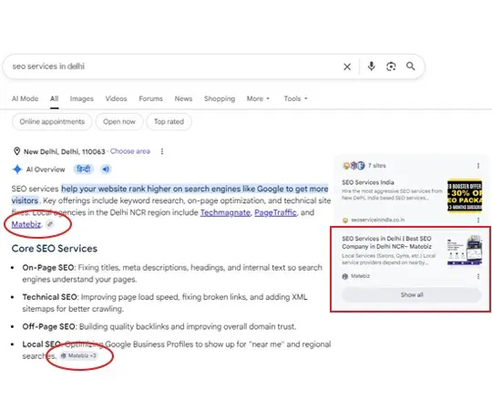 SEO Services Delhi glance