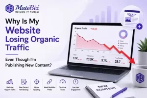 website losing organic traffic